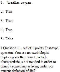 Chapter 1 Quiz